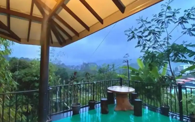 Villa Shungite