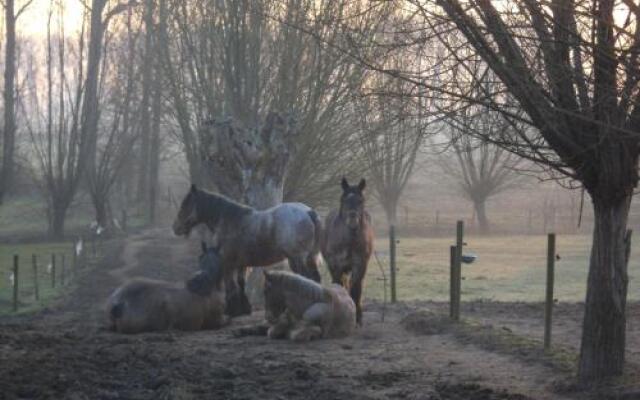 B&B In De Lossen Teugel