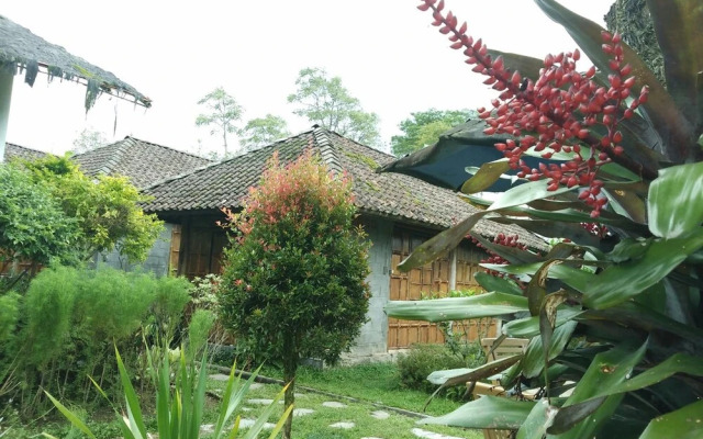 Pondok Bamboo Sendangsari