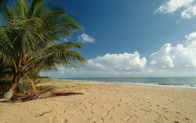 The Mediterranean Beachfront Apartments