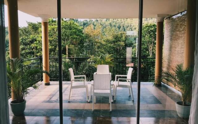 The Springfields Kandy