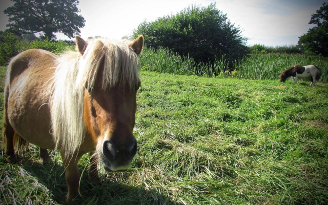 The Moorhead Bed & Breakfast