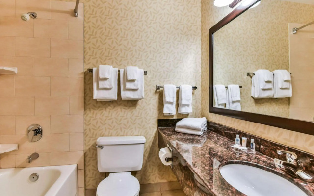 Comfort Inn & Suites Ambassador Bridge