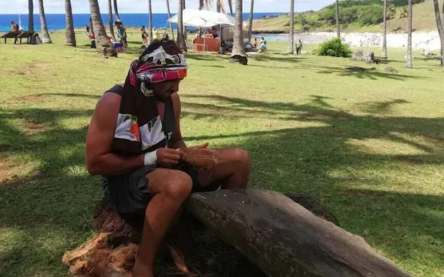 Hotel Hotu Matua