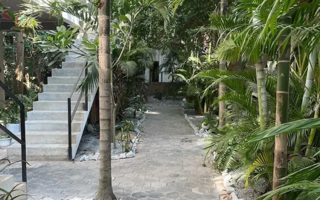 Treetop Bungalows