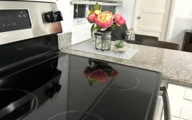 Modern 1BR Condo in Kingston
