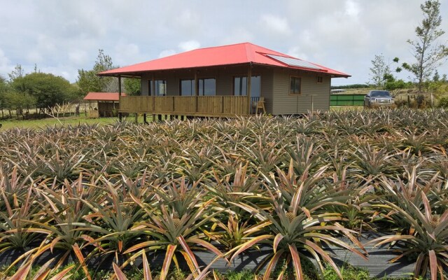 Maunga roa eco lodge