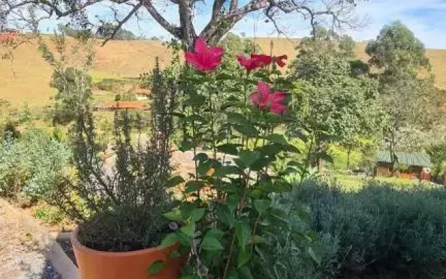 Vila Monte Cunha SP