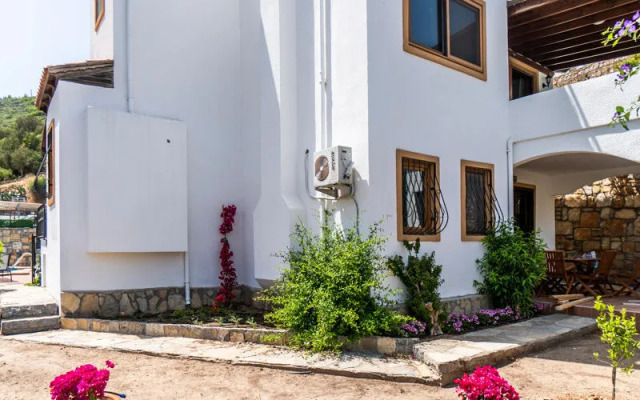 Villa Mine