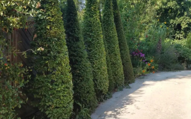 Webergarten
