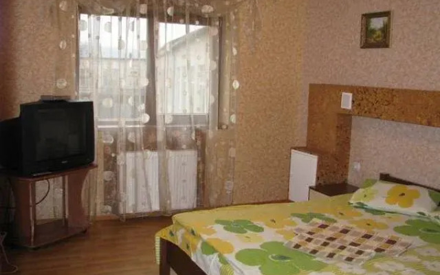Hotel Virazh