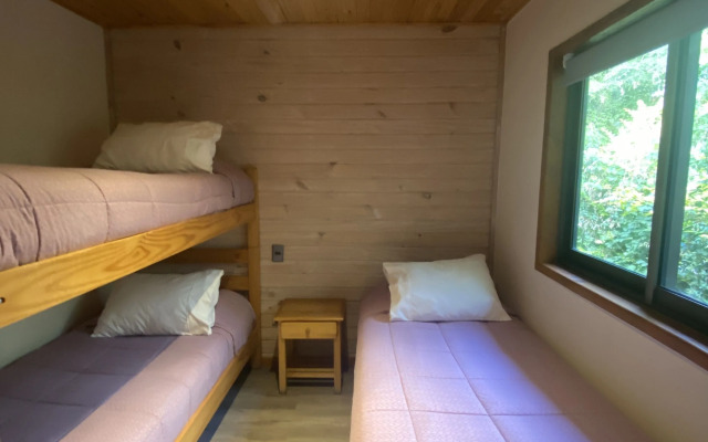 Loft Pucon Apart Hotel