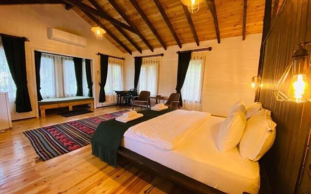 Mengen Rüya Çiftliği