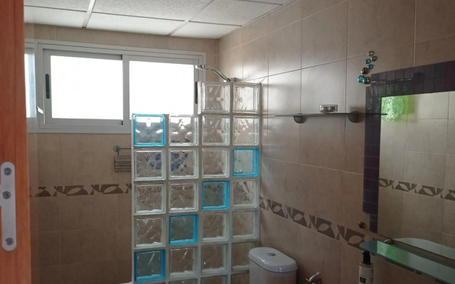 Disfruta Granada,incluso con tu mascota Parking