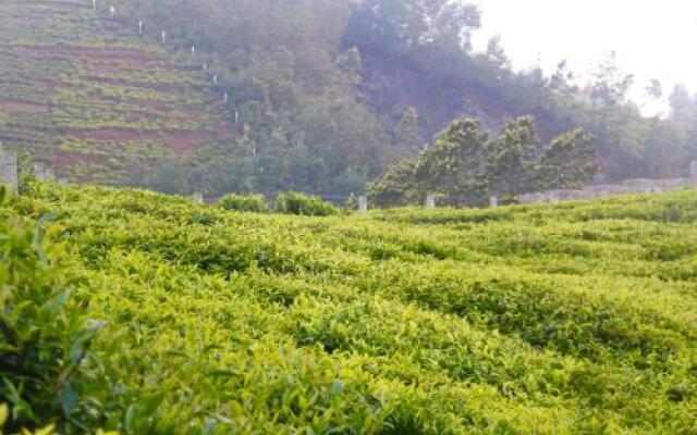 The Xanadu, Coonoor