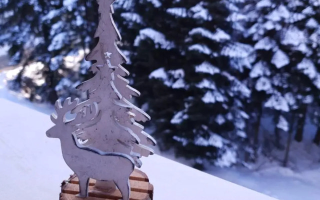 Pinewood ANG luxurious apartment A43, Borovets Gardens