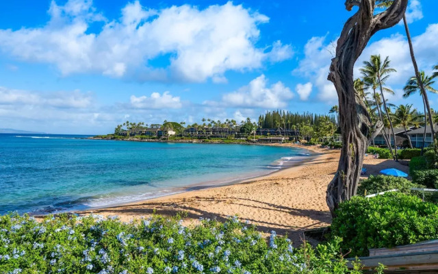 Napili Surf 207 in Lahaina
