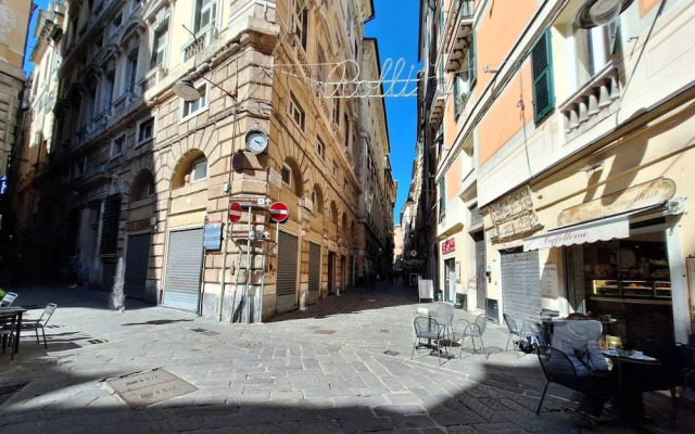 Rosa Homes - The Red