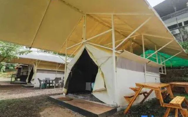 Wooly Hotel & Glamping
