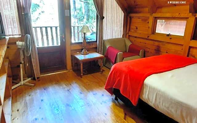 Plett Forest Cabins