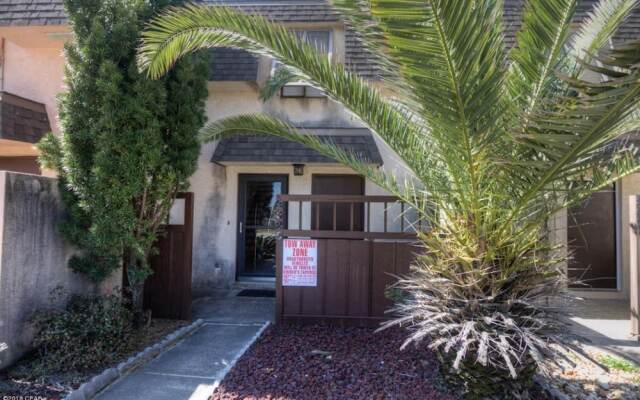 Sunbird Paradise - 1383972