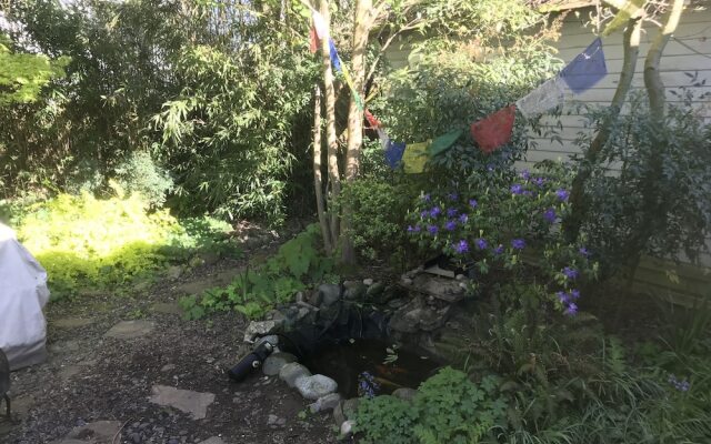 Zen Retreat - Private home - Very Unique