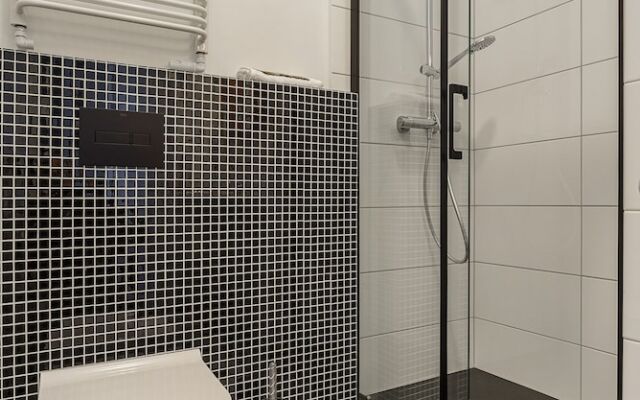 Apartament Wiejska I