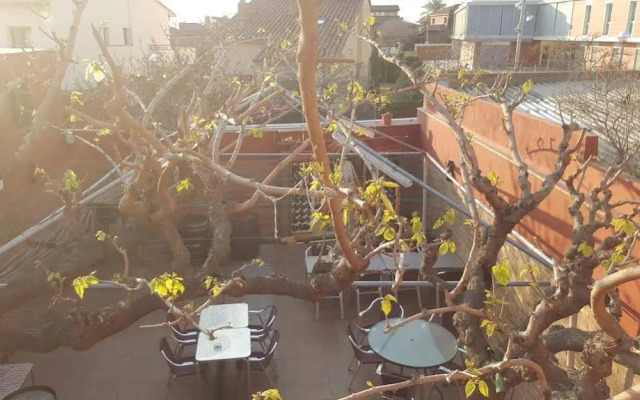 Pensión Restaurante Avenida