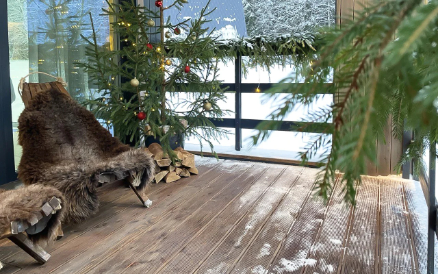 Pine Forest(Хвойный лес)