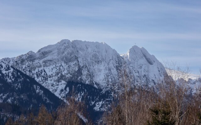 Tatry Design Suite by Renters