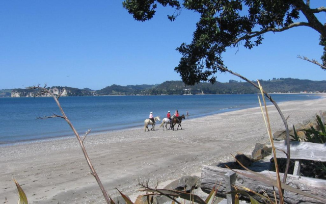 Beachfront Resort