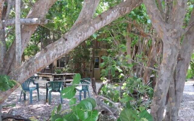 Ed & Ellens Lodging Key largo