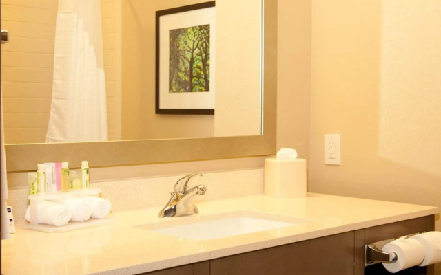 Holiday Inn Express Hotel & Suites Schulenburg by IHG