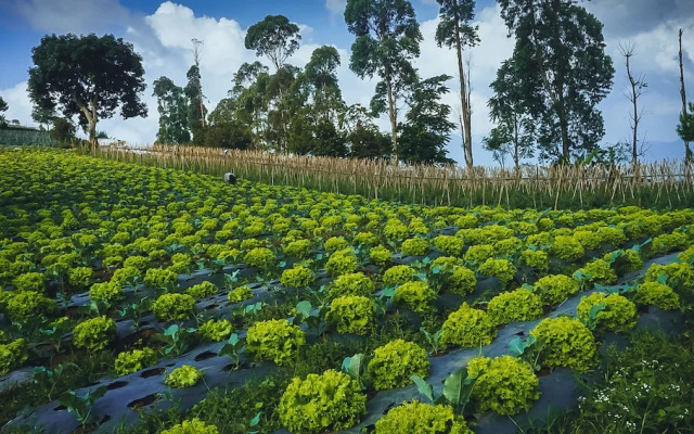 Snow Princess Mountain Glamping Resort at Clubbali, Lembang