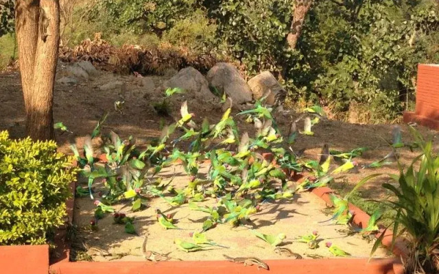 Roopam Resort