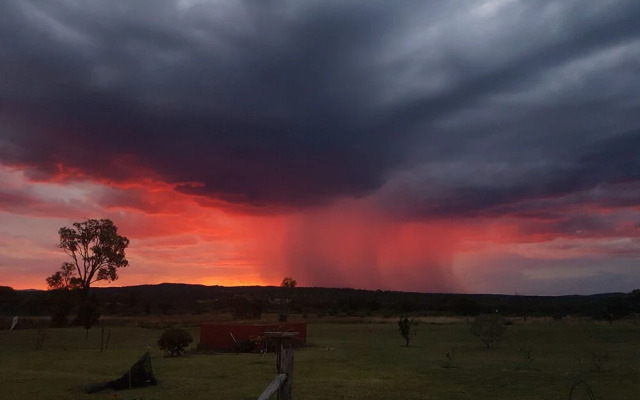 Grovely House Bed & Breakfast