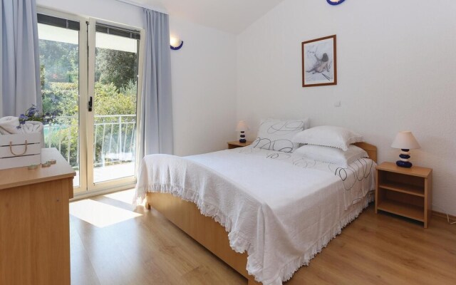 Awesome Home in Arbanija With Wifi and 1 Bedrooms