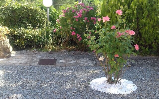 Il Tulipano Verde B&B