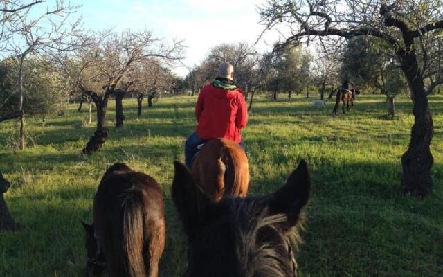 Agriturismo Vita e Natura