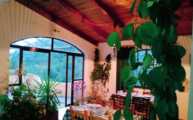Oleander's Garden