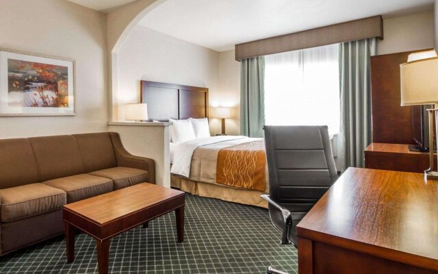 Comfort Inn & Suites Oakland