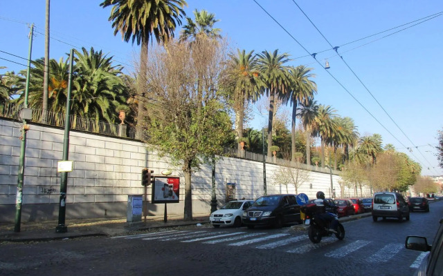 Nell'Antico Palazzo Salsa