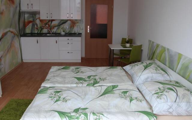Art Apartments Třeboň