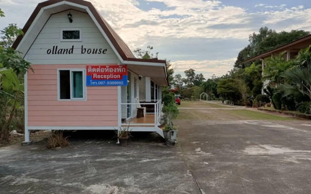 Brown Andaman  Krabi