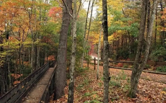 Nacoochee Valley Lodge