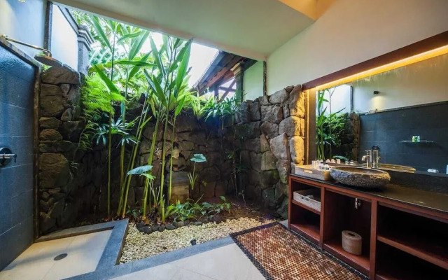 Infinity Jungle View Aashaya Villa Ubud
