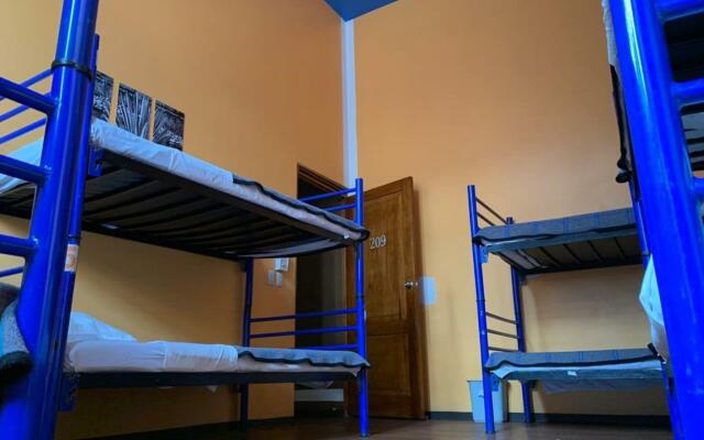 Hostal Amigo - Hostel