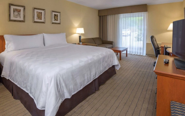 Holiday Inn Hotel & Conference Centre