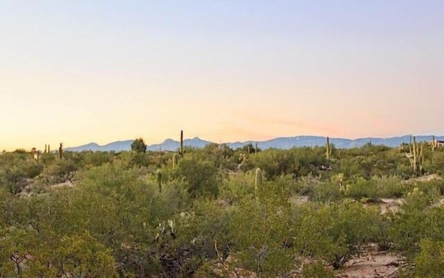 Saguaro Serenity By Signature Vacation Rentals