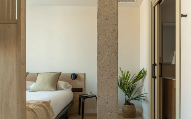 Libere Pamplona Universidad